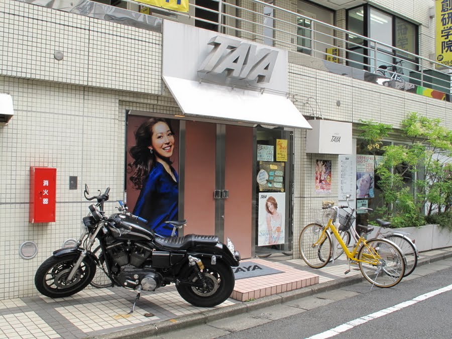 経堂農大通り商店街公式ホームページ Taya